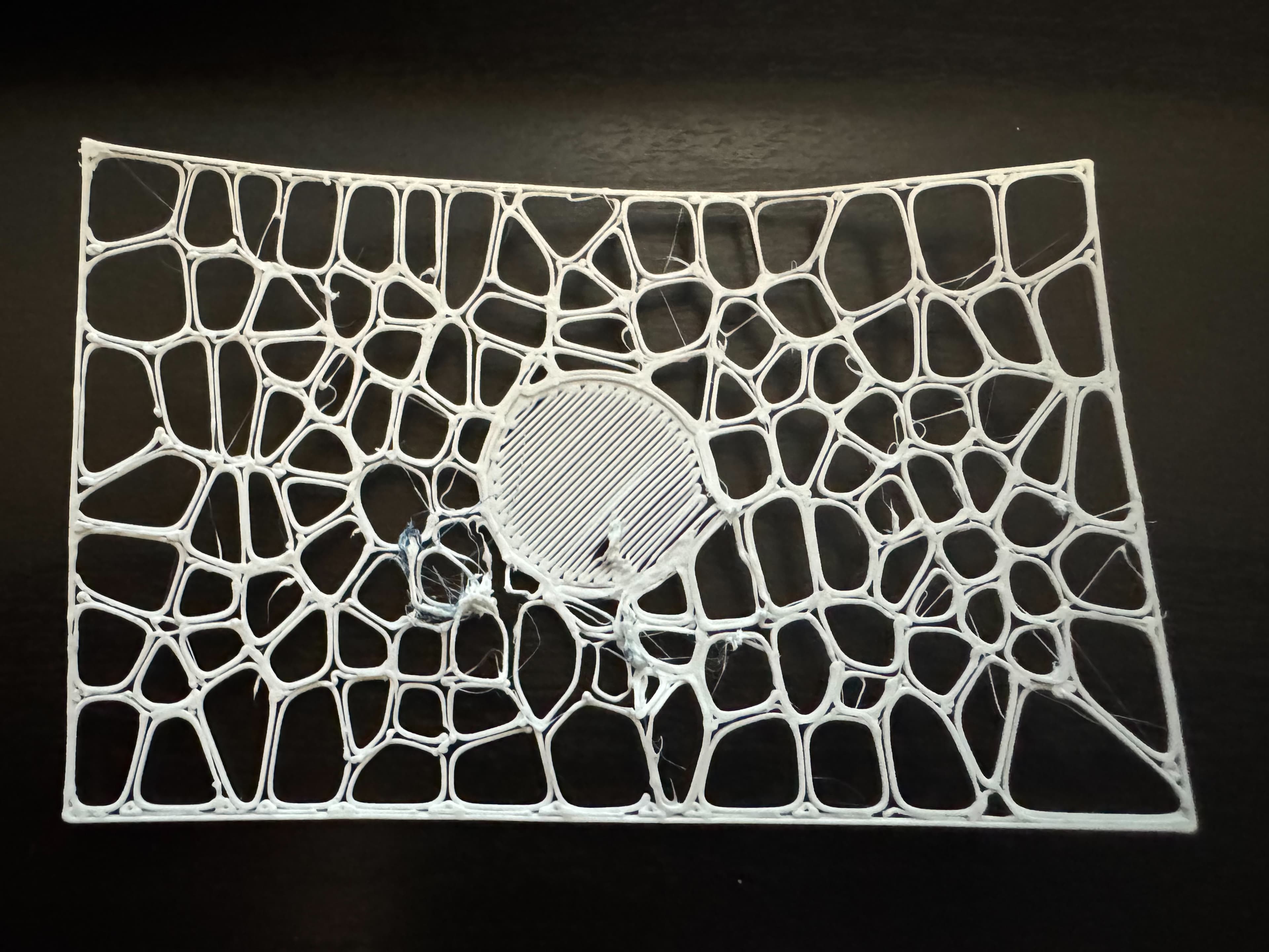 Failed first Voronoi business card print