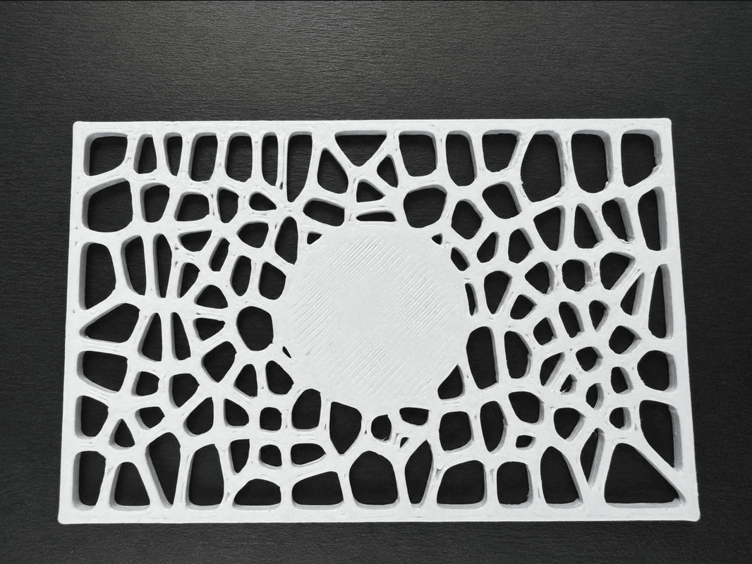 Successful 3D printed Voronoi business card
